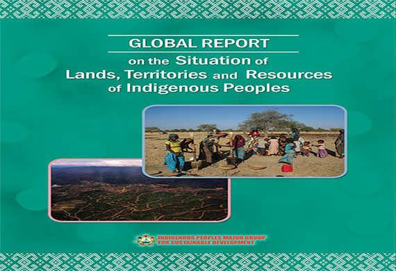 Global Report On The Situation Of Lands, Territories And Resources Of ...