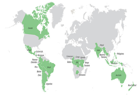 Violations of Indigenous Peoples' and local communities' rights and ...