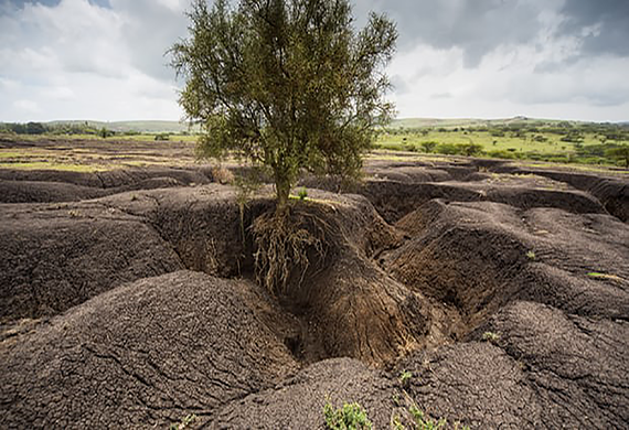 Land degradation threatens human wellbeing, major report warns