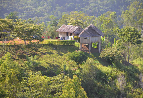 Papua New Guinea: Rainforest protected against all odds