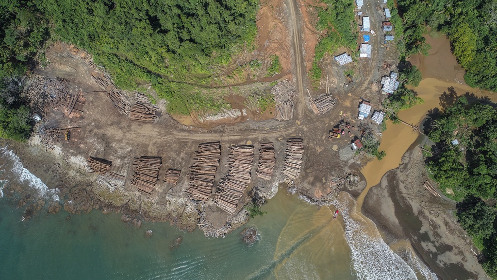 Solomon Islanders Imprisoned For Trying To Stop The Logging Of Their Forests